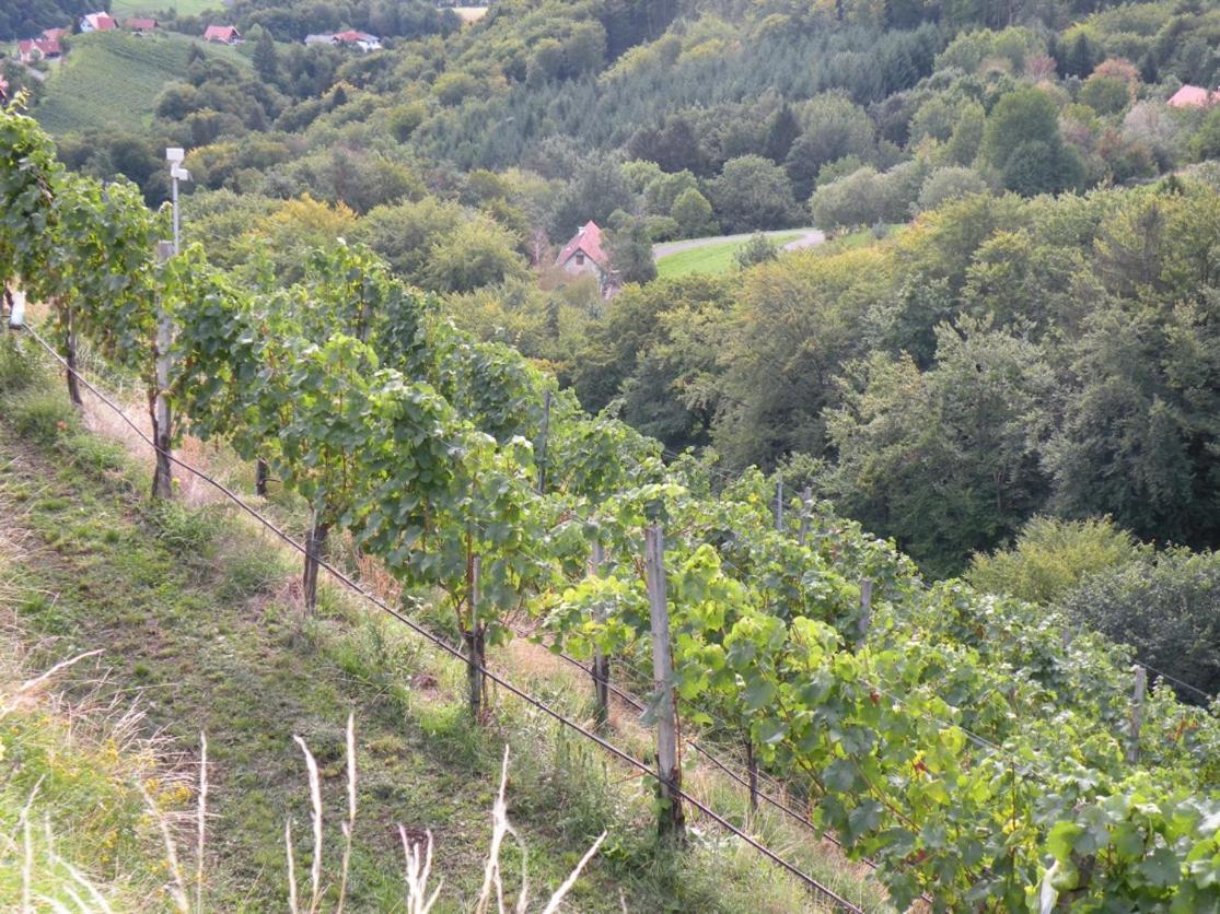 Weingut Albert, Familie Cramer Bed & Breakfast Kitzeck im Sausal Exterior photo