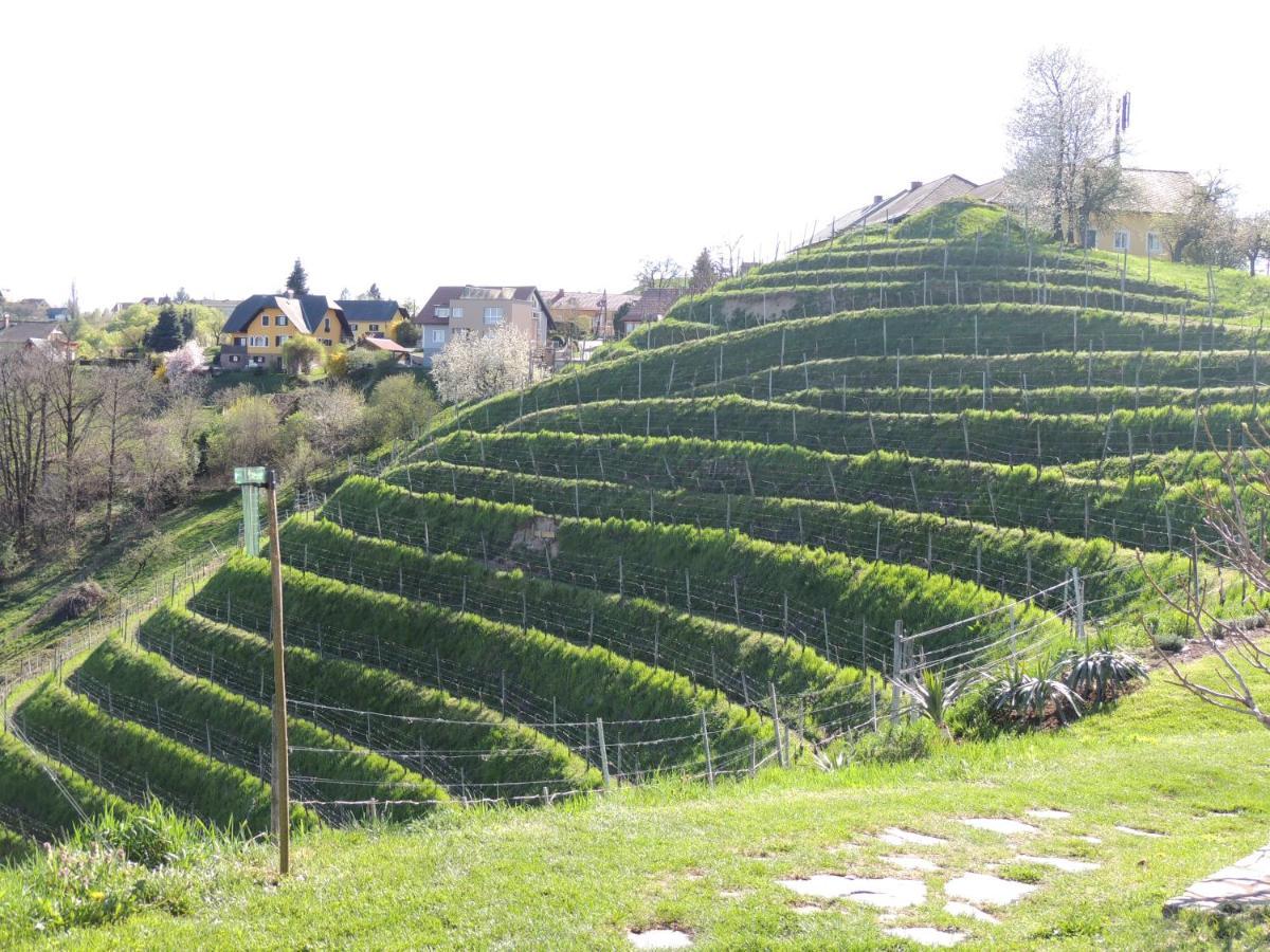 Weingut Albert, Familie Cramer Bed & Breakfast Kitzeck im Sausal Exterior photo