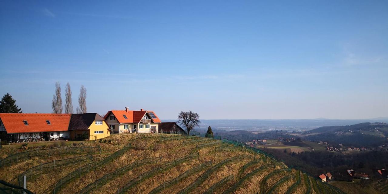 Weingut Albert, Familie Cramer Bed & Breakfast Kitzeck im Sausal Exterior photo