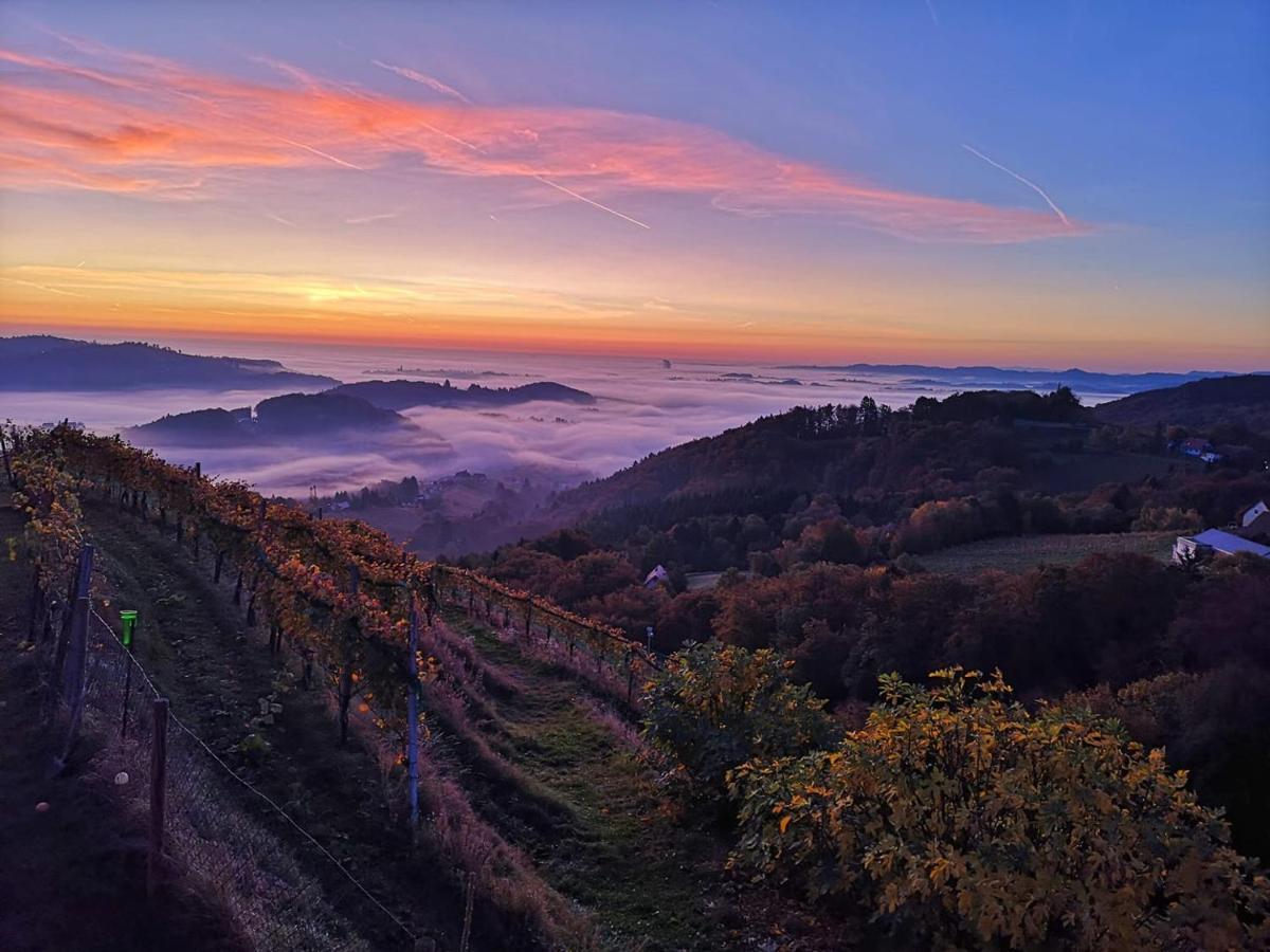 Weingut Albert, Familie Cramer Bed & Breakfast Kitzeck im Sausal Exterior photo